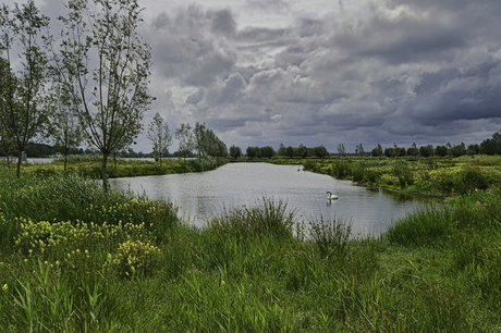 Landelijk