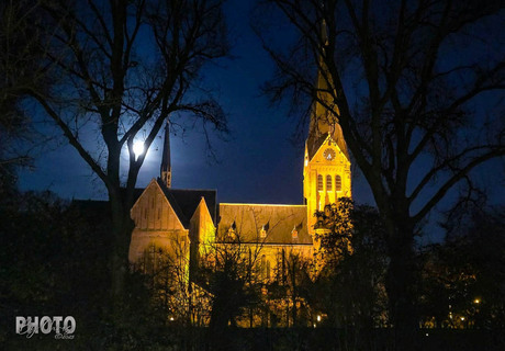 Zie de maan schijnt door de bomen