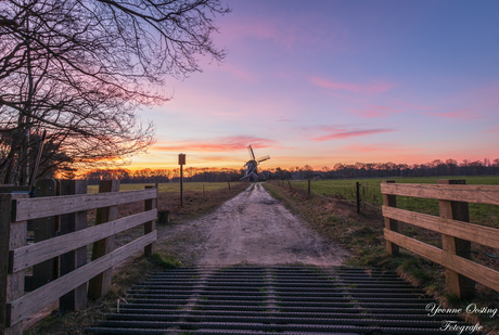 Molen de Zwaluw