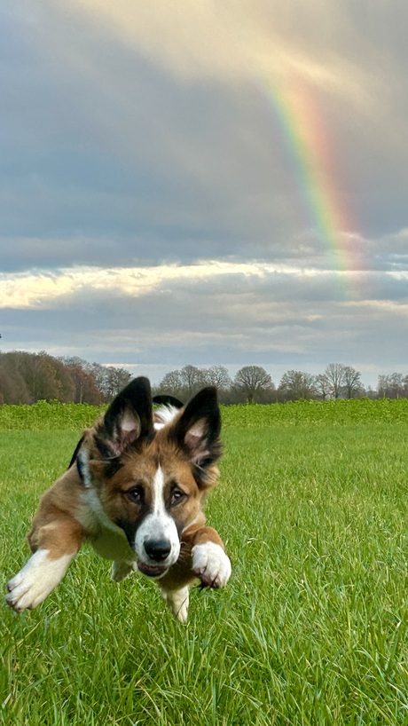 Haar eerste regenboog foto