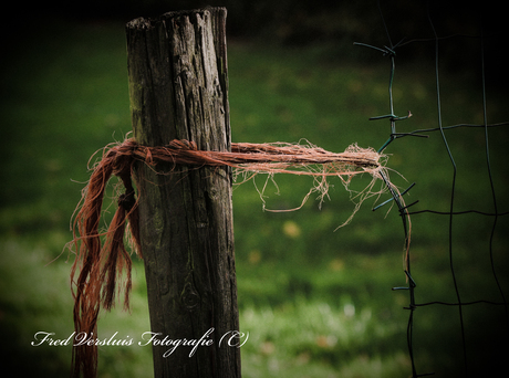 Hout en kunststof 