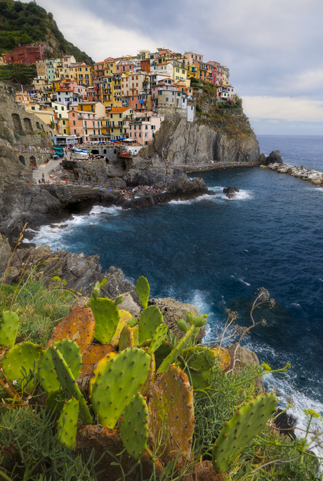 Manarola perspectief