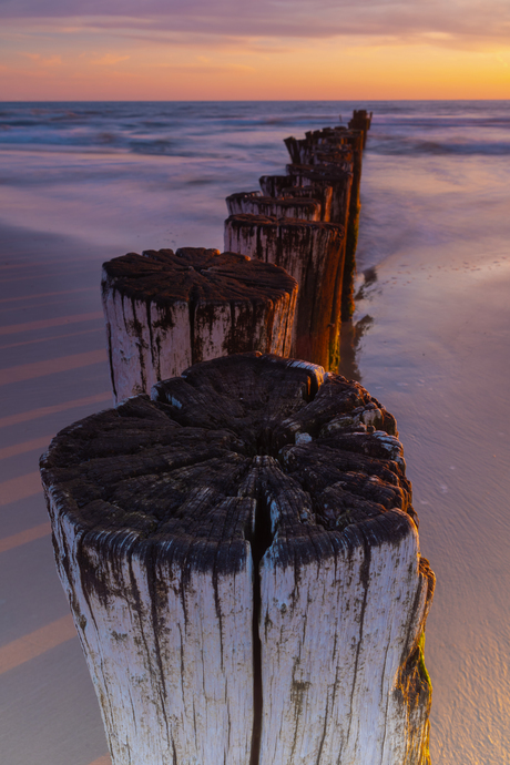 Palen in zee tijdens zonsondergang