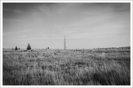 Desolaat in de Belgische Ardennen