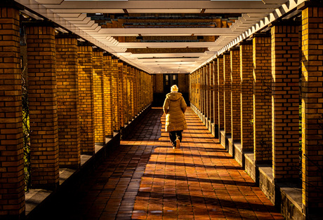 Gouden Uur, Gouden Pad