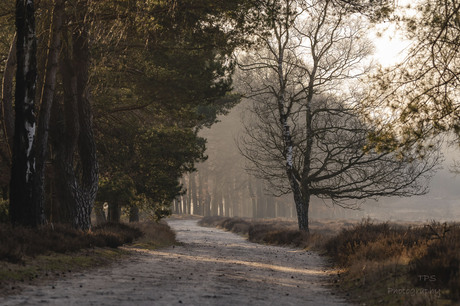 Wandelen op de heide