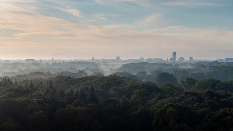 Enschede in het groen