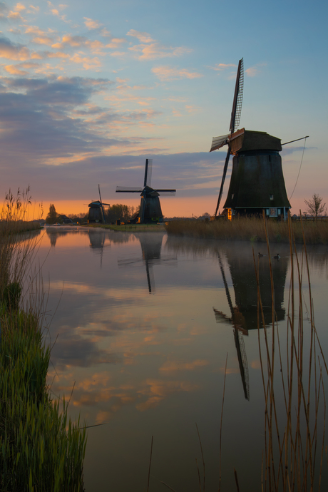 Drie strijkmolens bij Rustenburg