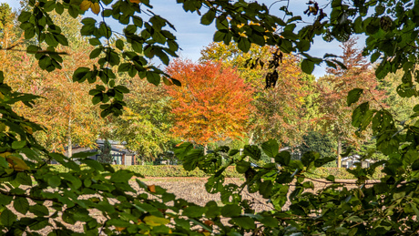 Herfst doorkijk