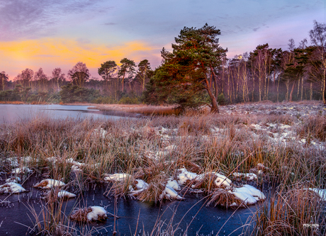 Ondergaande maan op Beegderheide