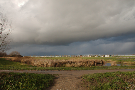 Wandeling Bergse Bos 02-01-2025