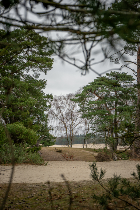 Doorkijkje - Soesterduinen - 19 februari 2025
