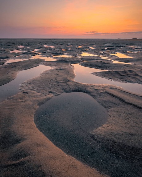 Strand maasvlakte