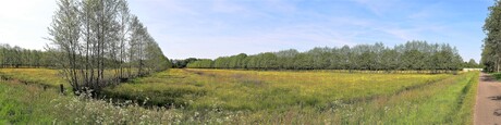 P1170557   SNEL panorama  Drenthe   Mantingerveld  18 mei 2022  