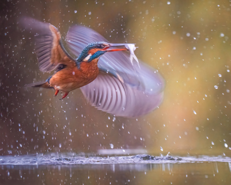 Met de vangst terug de lucht in 💙