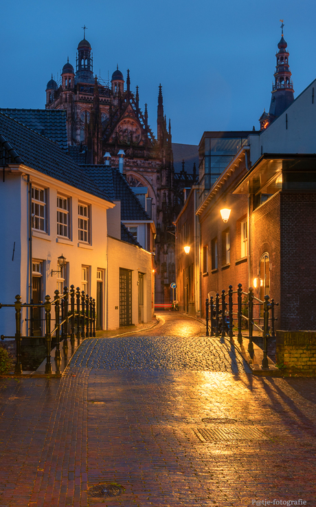 Zicht op de Sint-Janskathedraal.