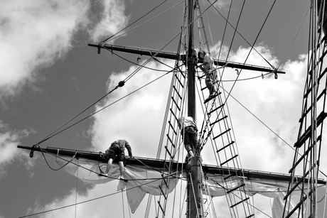 Hoogwerkers 