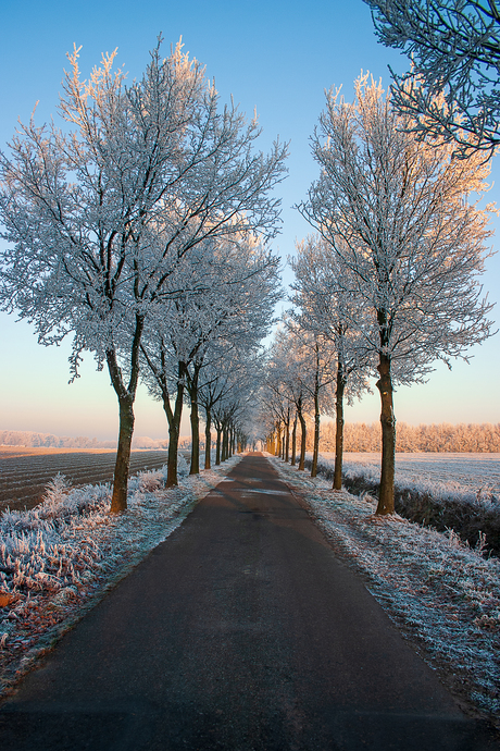 Winter in Limburg