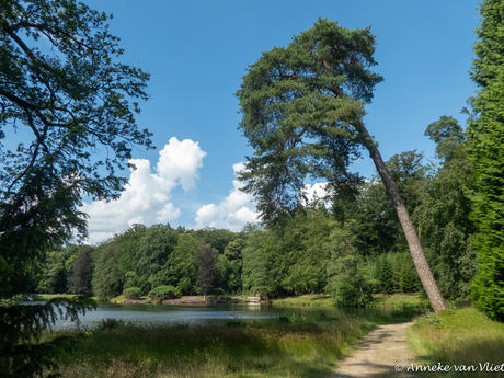 Park Rozendael