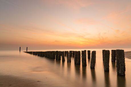 Gouden strand