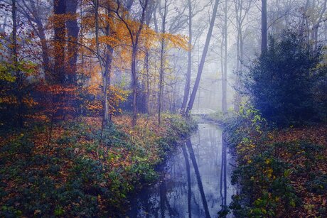 Mist in het landgoed