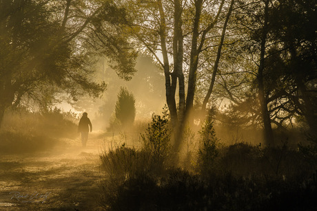 Ochtend in Twente