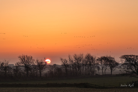 Zonsopkomst 