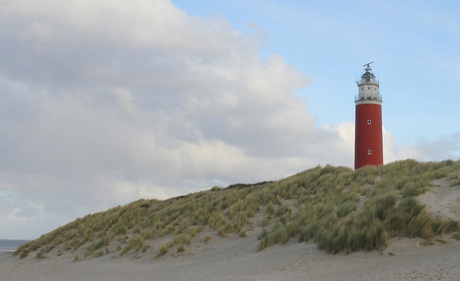 Texel.