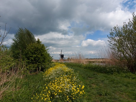 Rondje door de  polder 