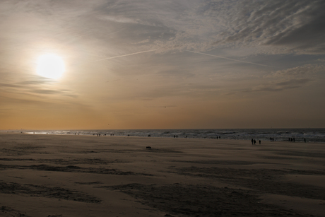 Strand bij Noordwijk