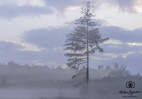 ‘S morgens in de vroegte….