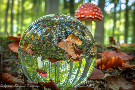 eens op een andere mannier 