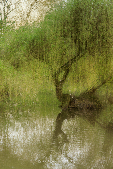 Multiple exposure Amelisweerd