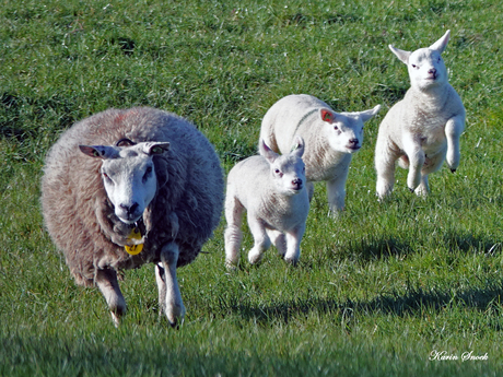 "Rennen met mama..."