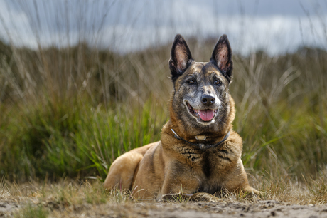 Genieten op je favoriete plek
