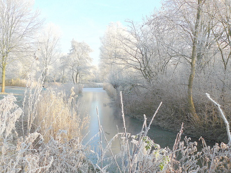 hollands winterlandschap