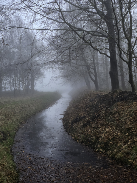 De mistige dagen van december 2025 II