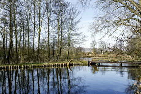 De natuur wordt wakker