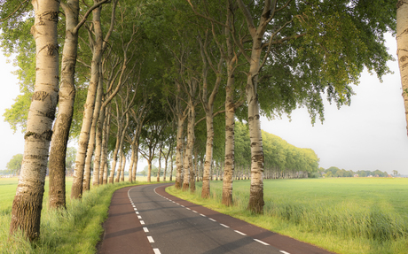 Wierumerschouwsterweg