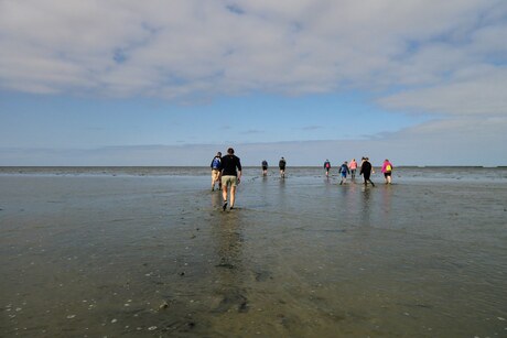 Het wad op
