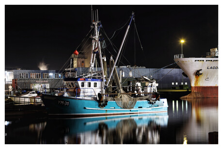 vissersboot in Haringhaven