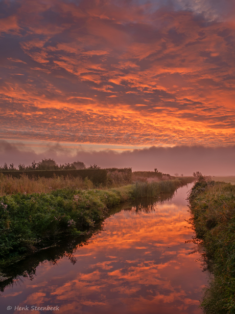 Kleurexplosie boven polder