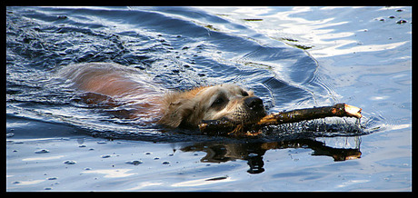 water en een speeltje.............................