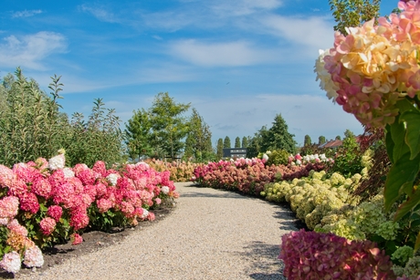 Genieten met een grote G