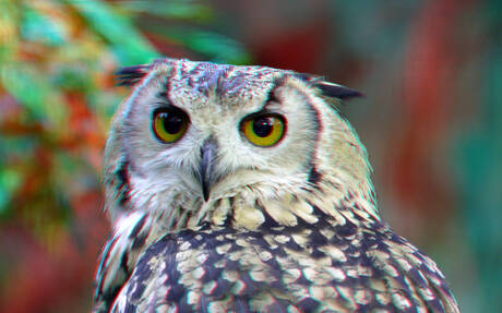  Blijdorp Zoo Rotterdam  2026 3D 