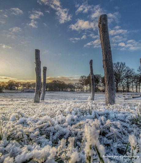Winterse zonsopkomst.