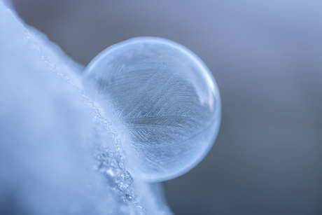 Bevroren zeepbel 11-01-2026