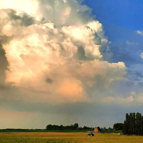 Donkere wolken boven Nederlandse boeren 
