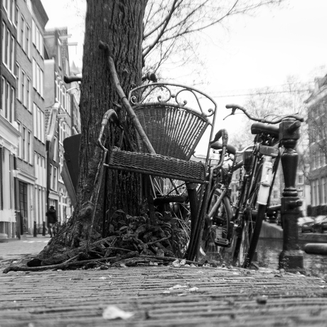 Tegen de boom