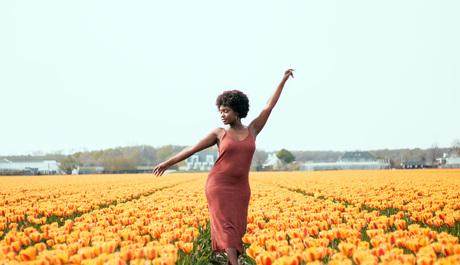 Between Dutch Tulip Fields